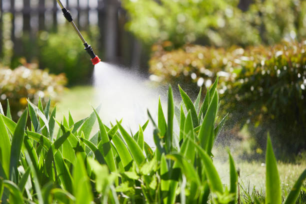 24/7 Emergency Termite Control experts in Waianae, HI