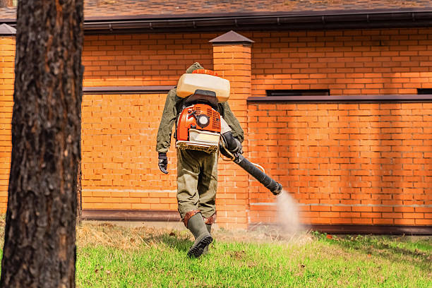 Trusted Cockroach Control service in Waianae, HI - Nex Pest Control